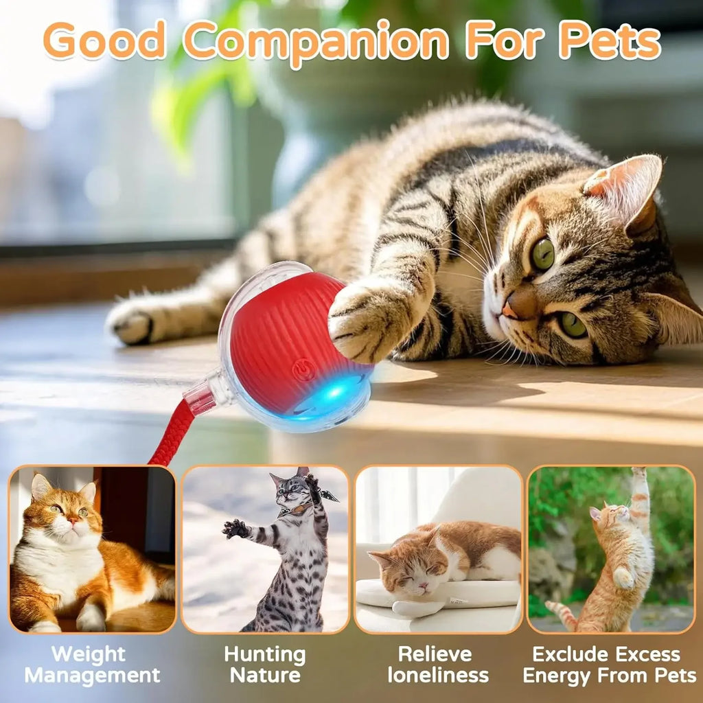 Bola Interativa Elétrica com Movimento Automático para Pets
