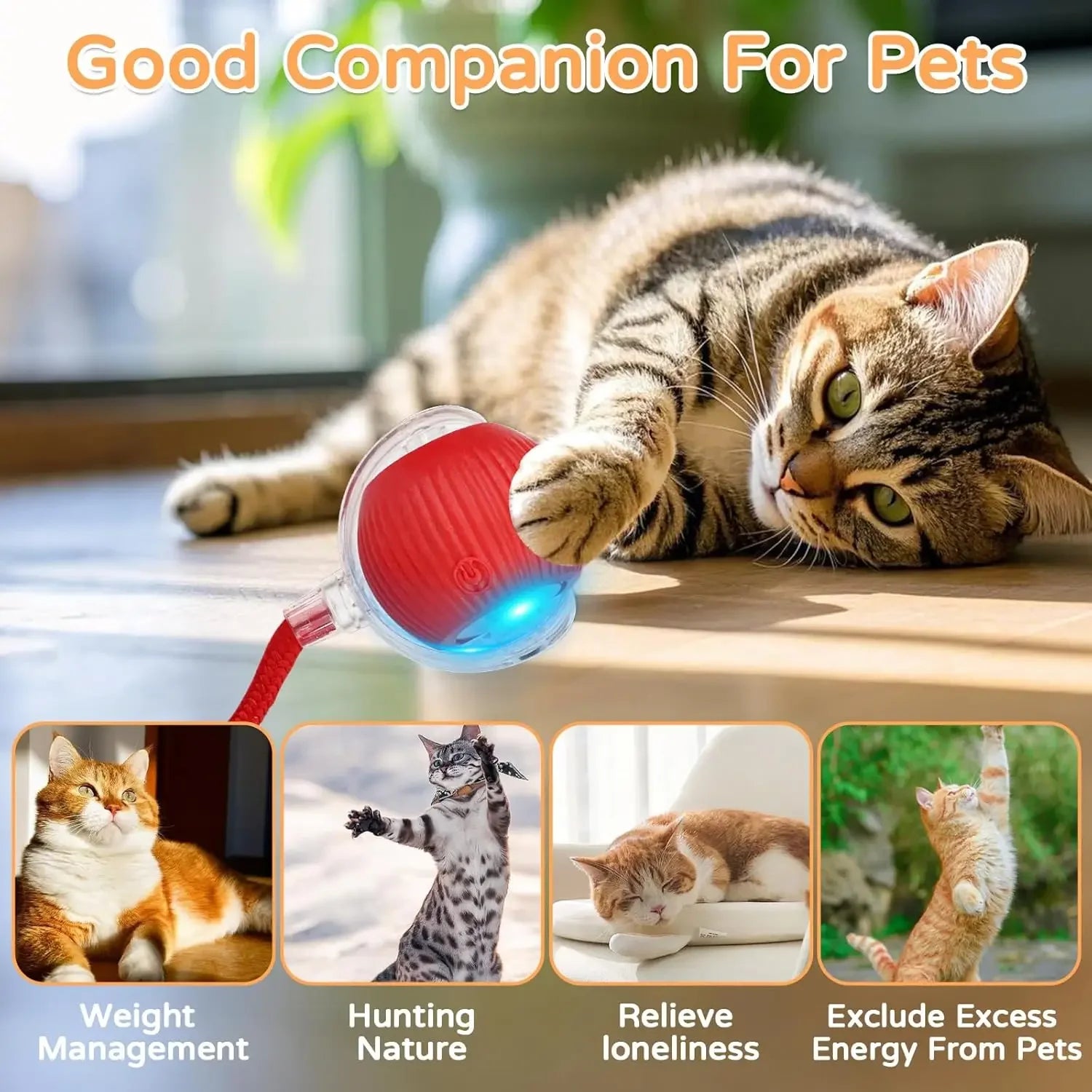 Bola Interativa Elétrica com Movimento Automático para Pets